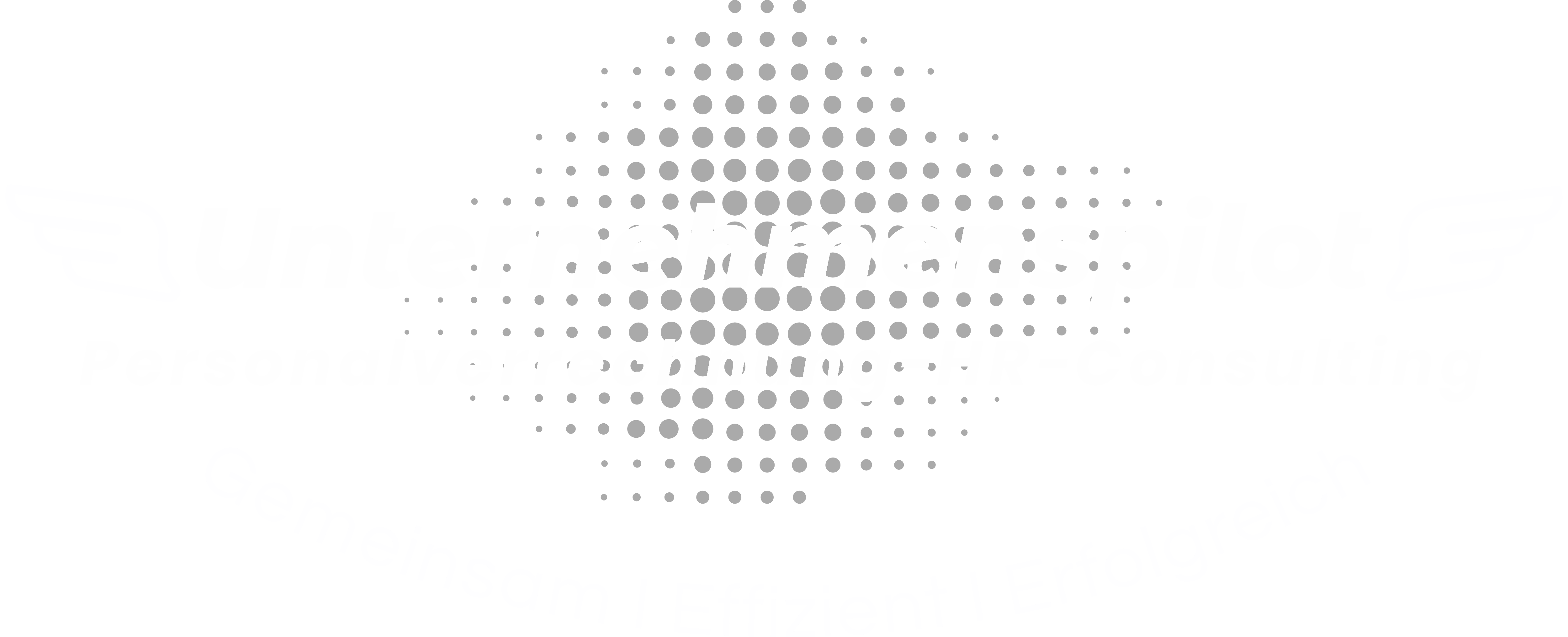 Unternehmenspilot